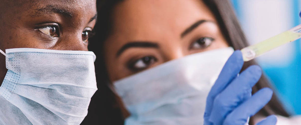 Two bioscience and healthcare professionals observing a test tube. 