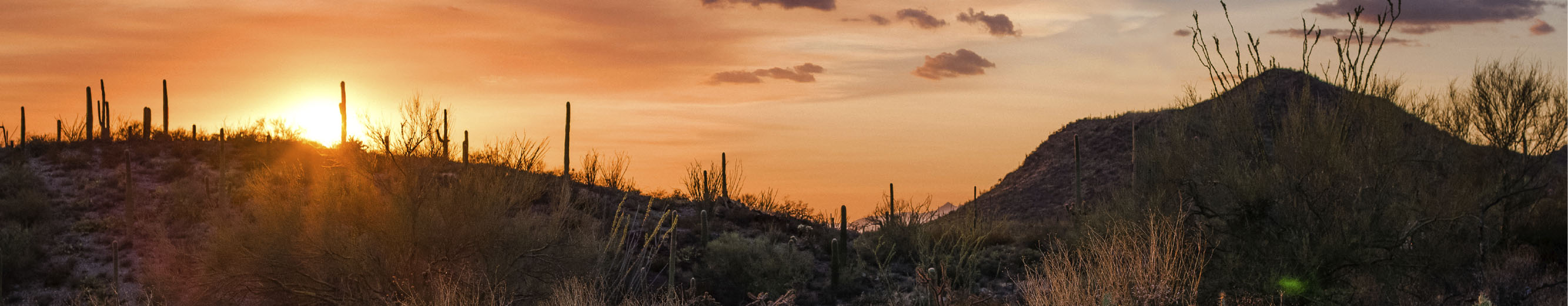 Orange, red and purple sunset hues shine behind Arizona mountains, saguaro cactus and other desert plants.