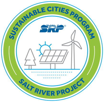 Sustainable Cities Logo